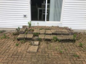 803302528-img_2671-1